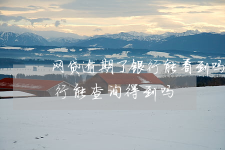 网贷逾期了银行能看到吗(借了网贷逾期了银行能查询得到吗?)