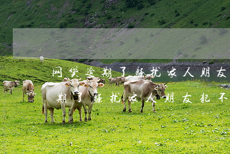 网贷逾期了骚扰家人朋友犯不犯法-网贷逾期了骚扰家人朋友犯不犯法呢
