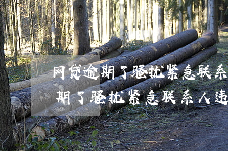 网贷逾期了骚扰紧急联系人违规吗-网贷逾期了骚扰紧急联系人违规吗怎么办