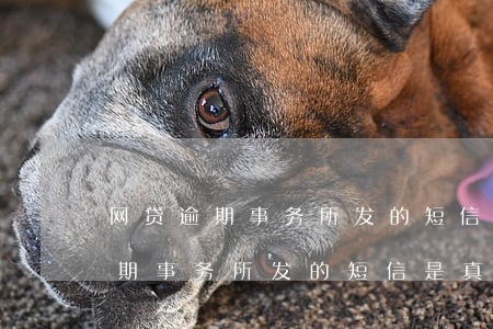 网贷逾期事务所发的短信是真的吗-网贷逾期事务所发的短信是真的吗吗