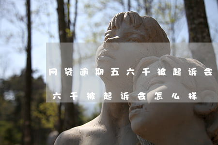 网贷逾期五六千被起诉会怎么样(网贷逾期五六千被起诉会怎么样)