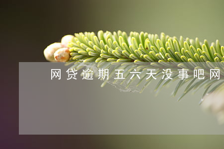 网贷逾期五六天没事吧(网贷逾期六个月后果)