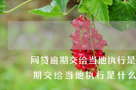 网贷逾期交给当地执行是什么意思-网贷逾期交给当地执行是什么意思啊