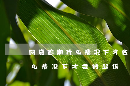 网贷逾期什么情况下才会被起诉(网贷逾期什么情况下才会被起诉)