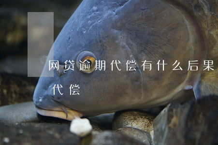 网贷逾期代偿有什么后果(网贷逾期保险公司代偿)