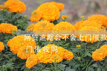 网贷逾期会不会上门催款(网贷逾期真的会上门催收吗)