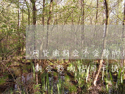 网贷逾期会不会影响信用卡正常使用(网贷逾期会影响信用卡使用么)