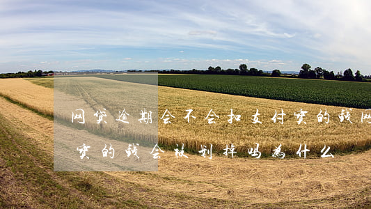 网贷逾期会不会扣支付宝的钱(网贷逾期支付宝的钱会被划掉吗为什么)