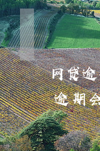 网贷逾期会买不了房嘛(有网贷但是从来没有逾期,会影响买房吗)