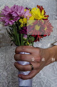 网贷逾期会从支付宝名下其他账户扣款吗（网贷逾期能直接从支付宝扣钱吗）