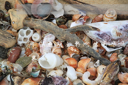 网贷逾期会影响信用卡吗（信用卡逾期打扰后果）