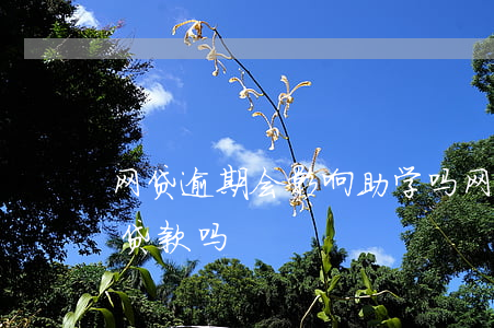 网贷逾期会影响助学吗(网贷逾期会影响助学贷款吗)