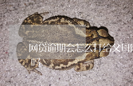 网贷逾期会怎么打给父母(网贷逾期影响父母吗)