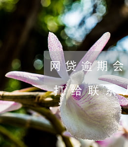 网贷逾期会打给哪些人(网贷逾期一天会直接打给联系人吗)