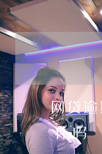 网贷逾期会留下终身案底(网贷逾期是刑事案件吗)