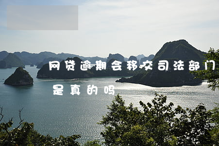 网贷逾期会移交司法部门(网贷移交司法部门是真的吗)