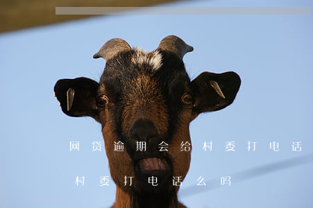 网贷逾期会给村委打电话么-网贷逾期会给村委打电话么吗