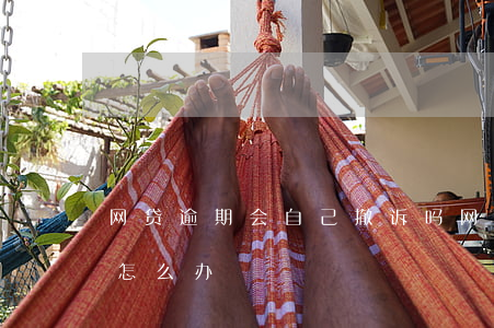 网贷逾期会自己撤诉吗(网贷逾期提起诉讼了怎么办)