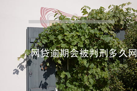 网贷逾期会被判刑多久(网贷能逾期多久)