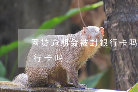 网贷逾期会被封银行卡吗(网贷逾期会冻结银行卡吗?)
