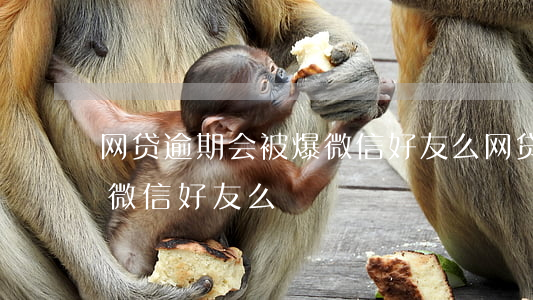 网贷逾期会被爆微信好友么（网贷逾期会被爆微信好友么）