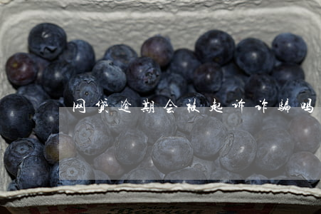 网贷逾期会被起诉诈骗吗(网贷逾期是诈骗吗)