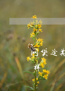 网贷逾期会走法律责任吗(网贷逾期后果会怎样)
