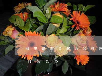 网贷逾期会起诉父母吗 网贷逾期会起诉父母吗怎么办