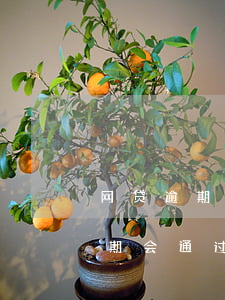 网贷逾期会通过短信告知被起诉吗-网贷逾期会通过短信告知被起诉吗知乎