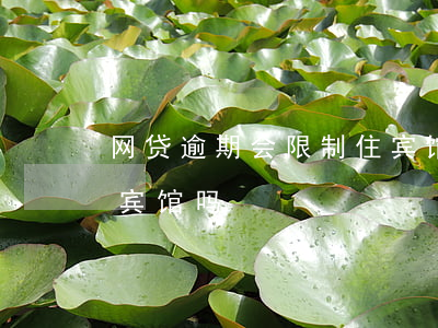 网贷逾期会限制住宾馆吗(网贷逾期会限制住宾馆吗)
