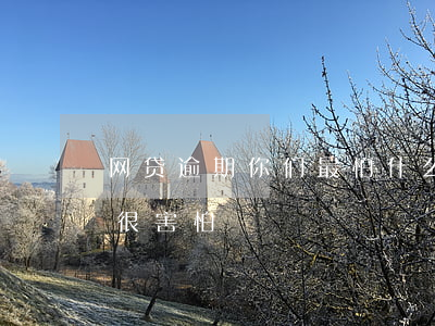 网贷逾期你们最怕什么(网贷逾期两年了现在很害怕)