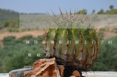 网贷逾期你们被上门了吗(网贷逾期会被上门催收吗)