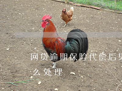 网贷逾期保险代偿后果(网贷被担保代偿的怎么处理)