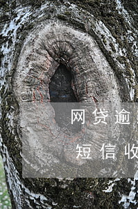 网贷逾期信息各种验证码(网贷逾期后为什么短信收到很多验证码)
