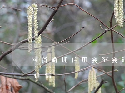 网贷逾期信用会不会消(网贷逾期会不会影响征信)