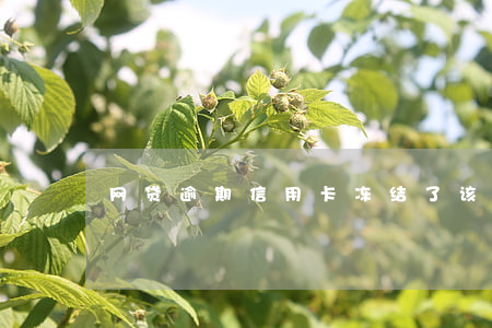 网贷逾期信用卡冻结了该怎么办