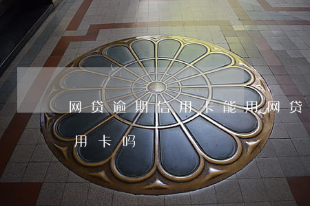 网贷逾期信用卡能用 网贷有逾期过可以办信用卡吗