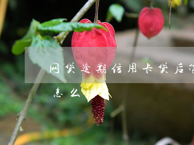 网贷逾期信用卡贷后管理(网贷和信用卡逾期怎么办)