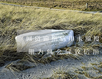 网贷逾期信用卡额度上升怎么回事啊，网贷逾期为何会导致信用卡额度上升？原因解析