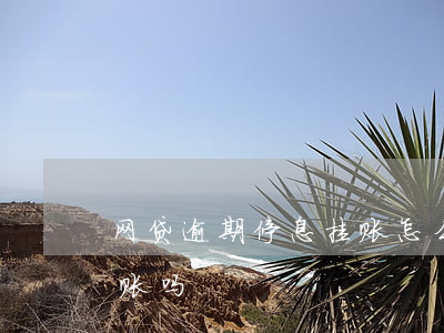 网贷逾期停息挂账怎么谈(网贷能申请停息挂账吗)