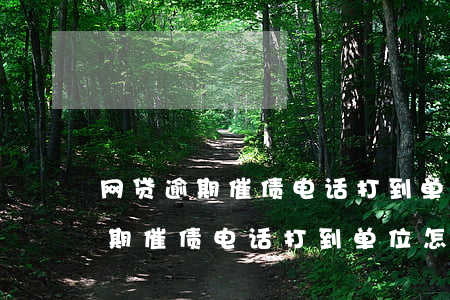 网贷逾期催债电话打到单位怎么办-网贷逾期催债电话打到单位怎么办?