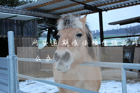网贷逾期催债短信骚扰(网贷催债电话骚扰怎么办)