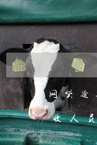 网贷逾期催收会叫警察来吗-网贷逾期了催收人员暴力催收