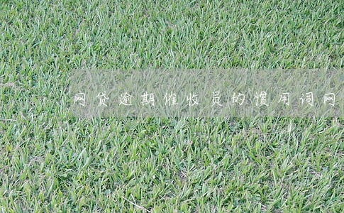 网贷逾期催收员的惯用词(网贷催收话术)