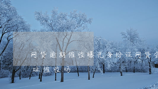 网贷逾期催收曝光身份证(网贷会去身份证住址催收吗)