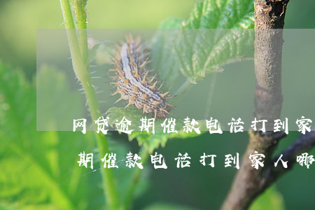 网贷逾期催款电话打到家人哪里了-网贷逾期催款电话打到家人哪里了怎么办