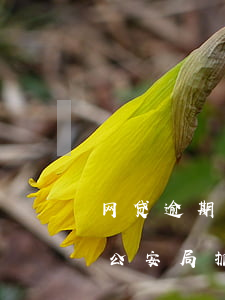 网贷逾期公安局能查到吗(网贷逾期不还会被公安局抓吗)