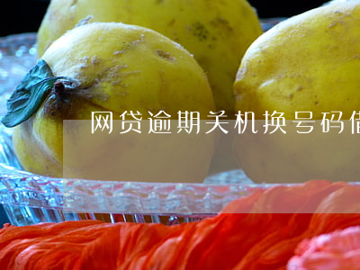 网贷逾期关机换号码借(网贷逾期电话停机)