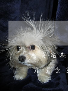 网贷逾期几个月没事吧(几个网贷逾期一个多月了会怎样)