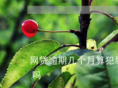 网贷逾期几个月算犯罪吗(网贷逾期会被判刑吗)